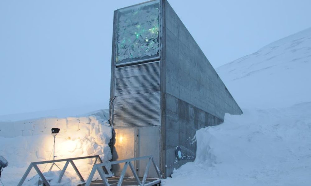 Samen Tresor der Welt