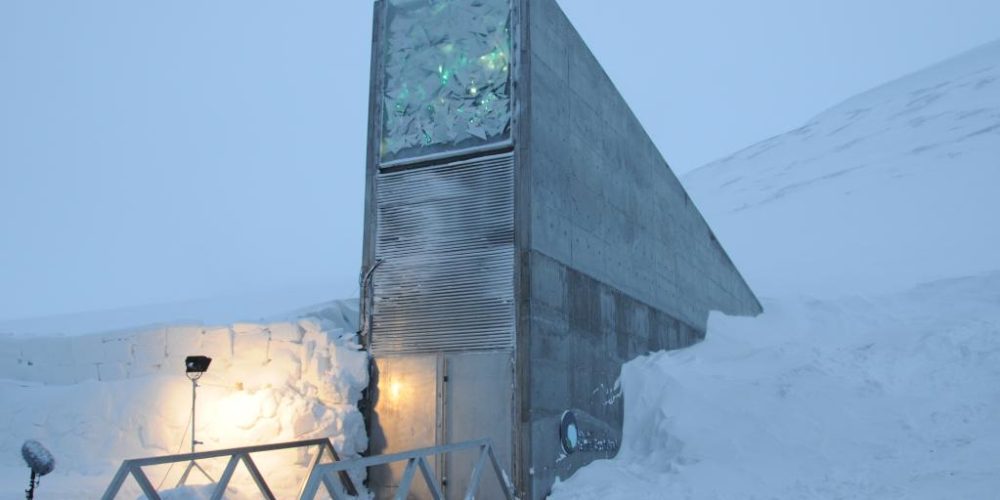 Samen Tresor der Welt